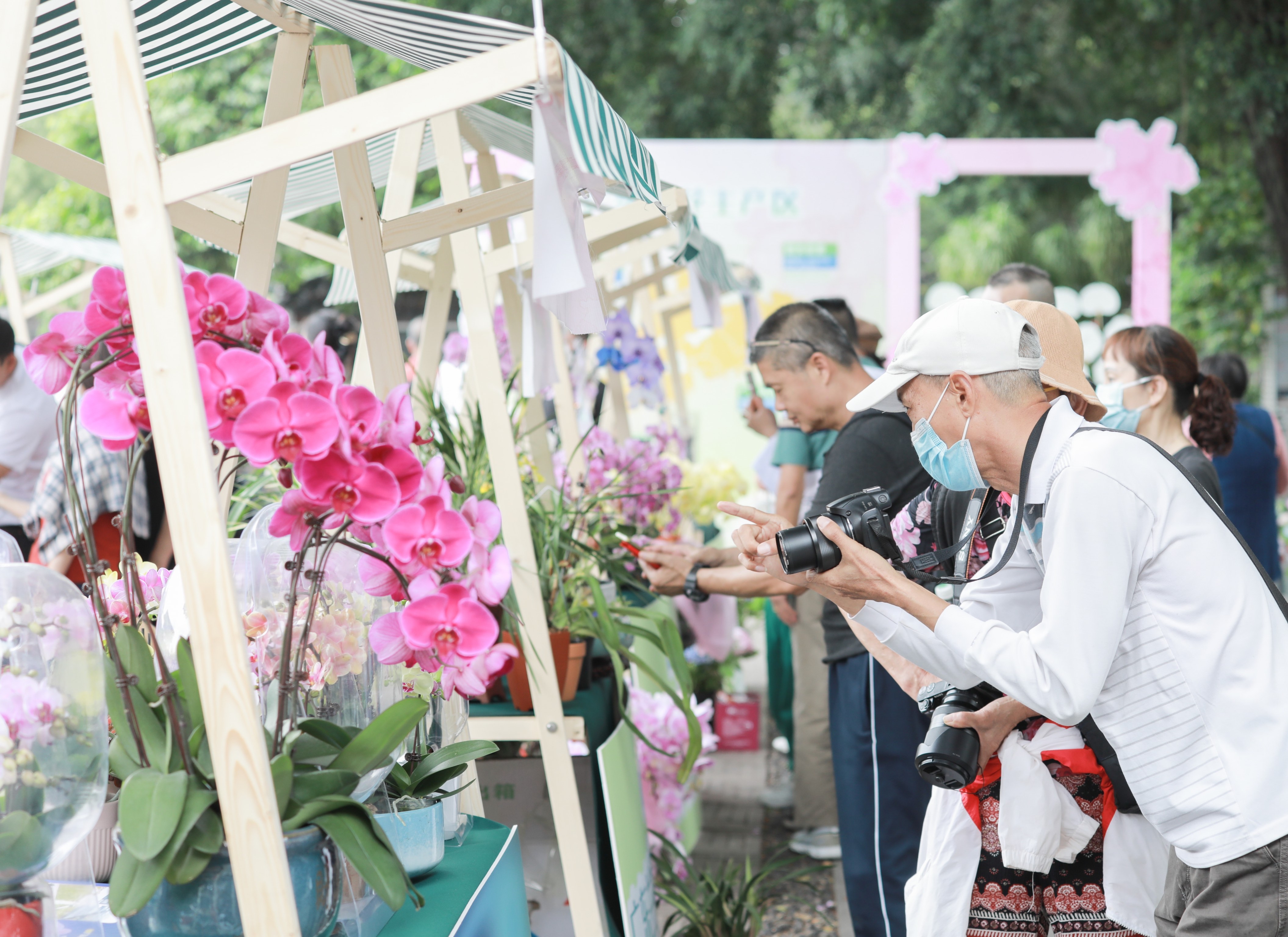 市民游客感受蘭花文化。荔灣區(qū)委宣傳部供圖