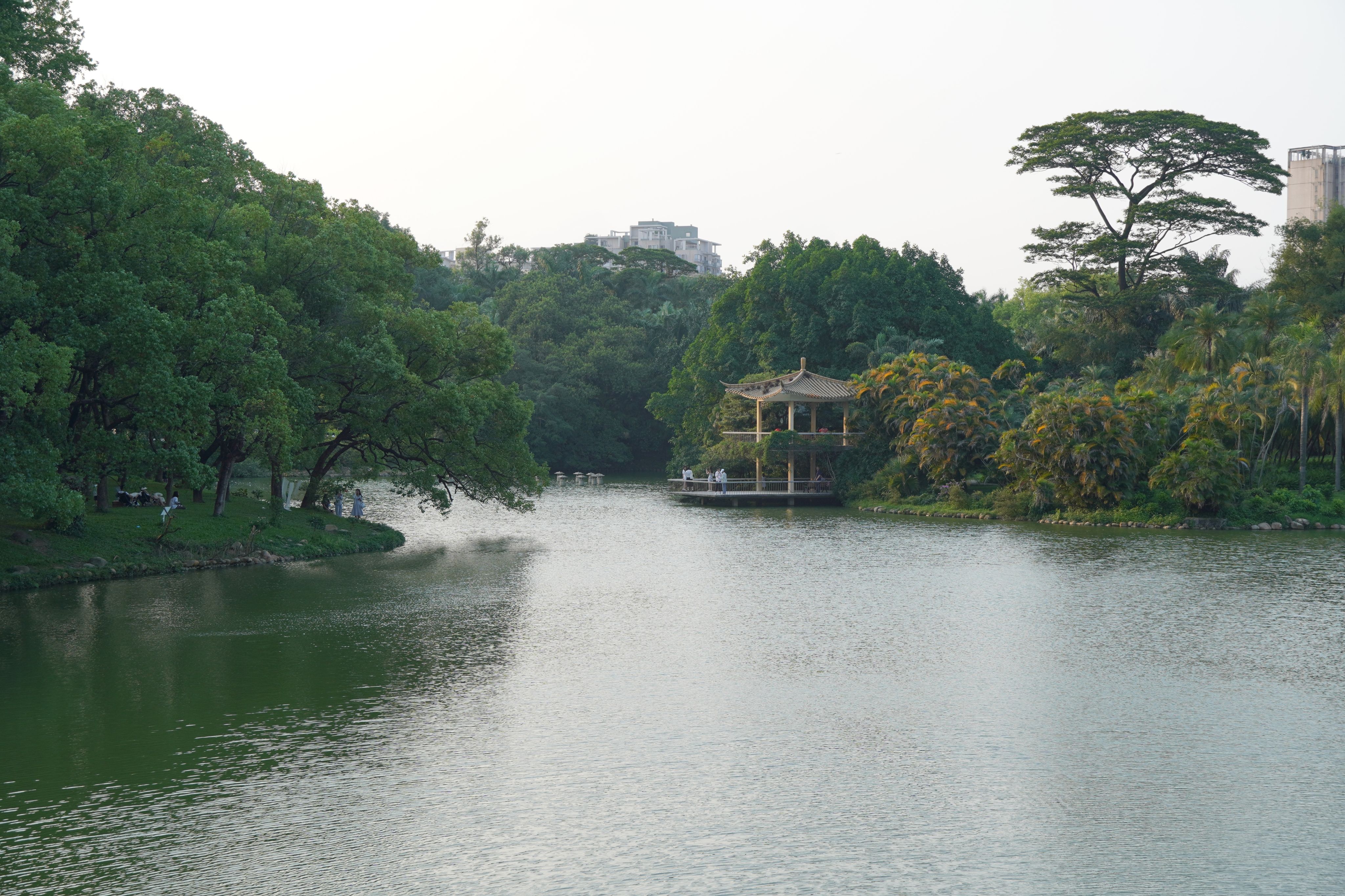 夏日的華南國家植物園，書寫人與自然和諧共生的美好畫卷。王雅蝶 攝