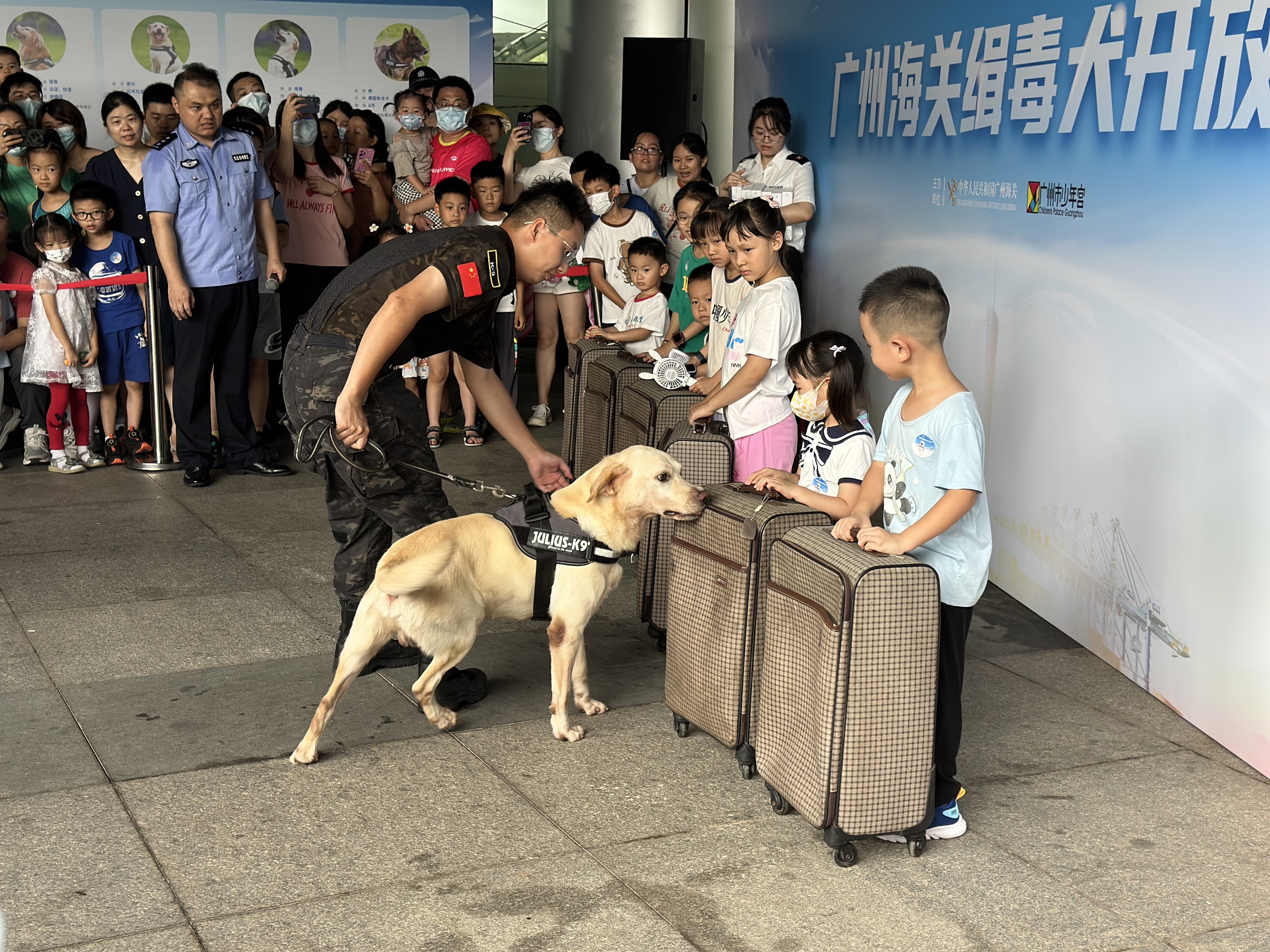 金萊爾接到搜尋指令后在數(shù)個外形一模一樣的行李箱間巡梭嗅探。周睿 攝