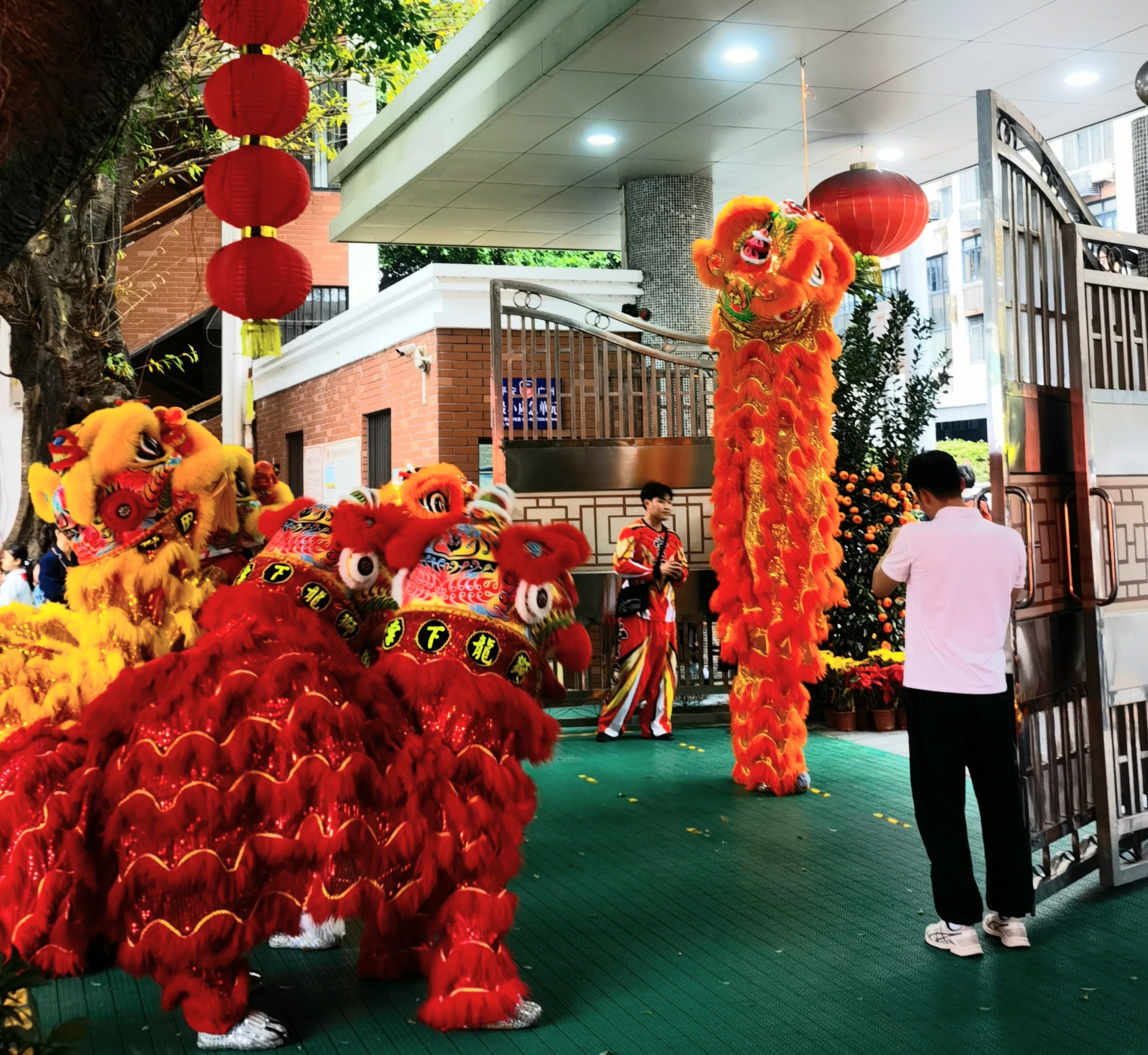 醒獅舞動(dòng)送吉祥。廣州市越秀區(qū)小北路小學(xué)以醒獅表演迎接學(xué)生回歸校園。小北路小學(xué)供圖